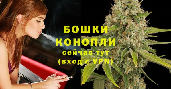 метадон Белокуриха