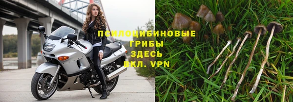 метадон Беломорск