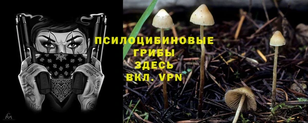 метадон Белокуриха