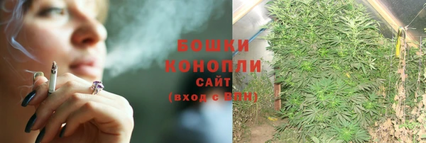 метадон Белокуриха