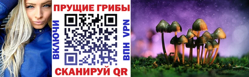 Псилоцибиновые грибы MAGIC MUSHROOMS  купить  цена  Верхотурье 